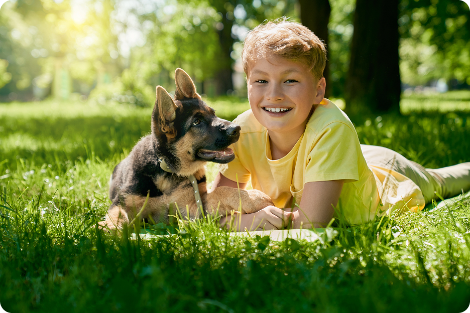 Beyond Companionship: The Profound Benefits of an Emotional Support Animal